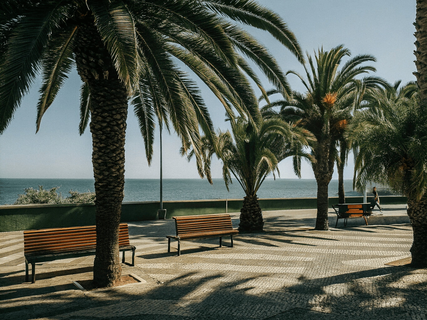 Cascais promenade with palm trees and benches